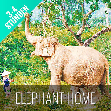 Elefantenschutz Halbtages Aktivität Koh Samui - kohsamuiausflug.de